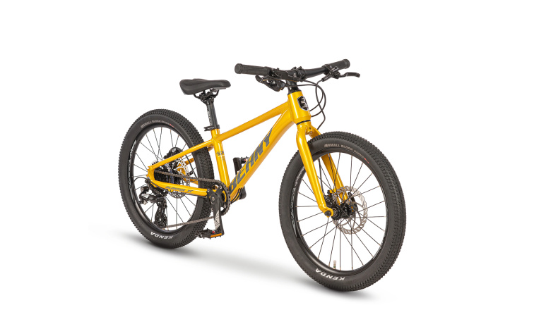 Lehké dětské kolo BEANY BLASTER XC 20 gold