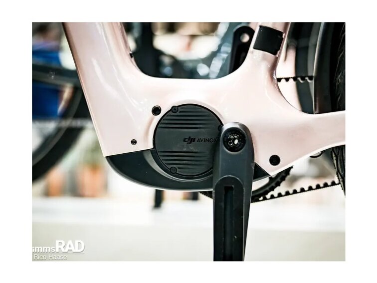 STEPPENWOLF Transterra Easy 9.0 DJI Avinox, 800Wh, champagne gloss, elektrokola s nízkým nástupem