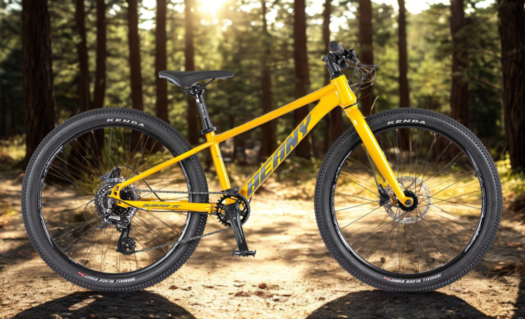 Lehké dětské kolo BEANY BLASTER XC 24 gold