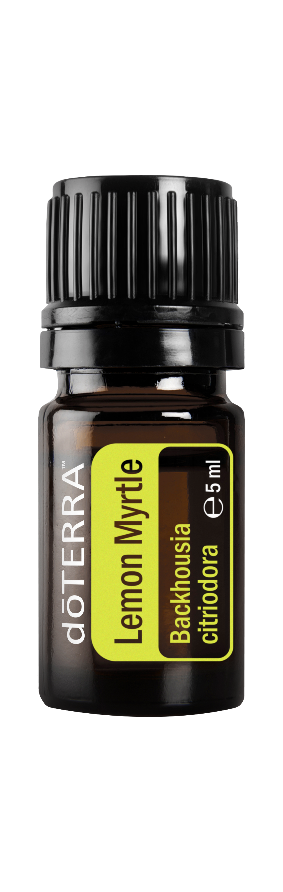 Lemon Myrtle (Myrtovník citrónový) - olej vyjasnenia