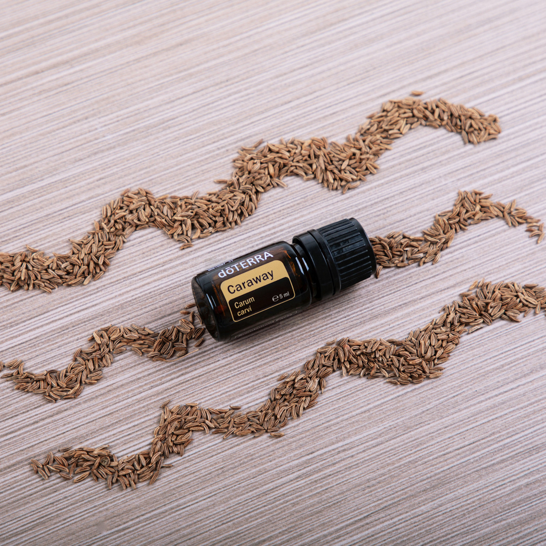 Caraway 5 ml (Rasca)