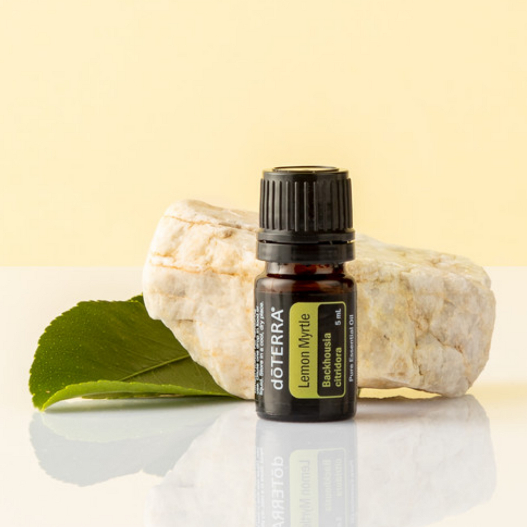 Lemon Myrtle (Myrtovník citrónový) - olej vyjasnenia