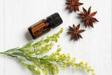 Star Anise 5 ml (Badián)