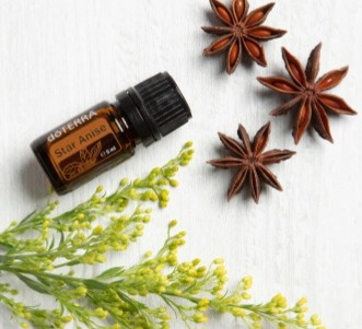 Star Anise 5 ml (Badián)
