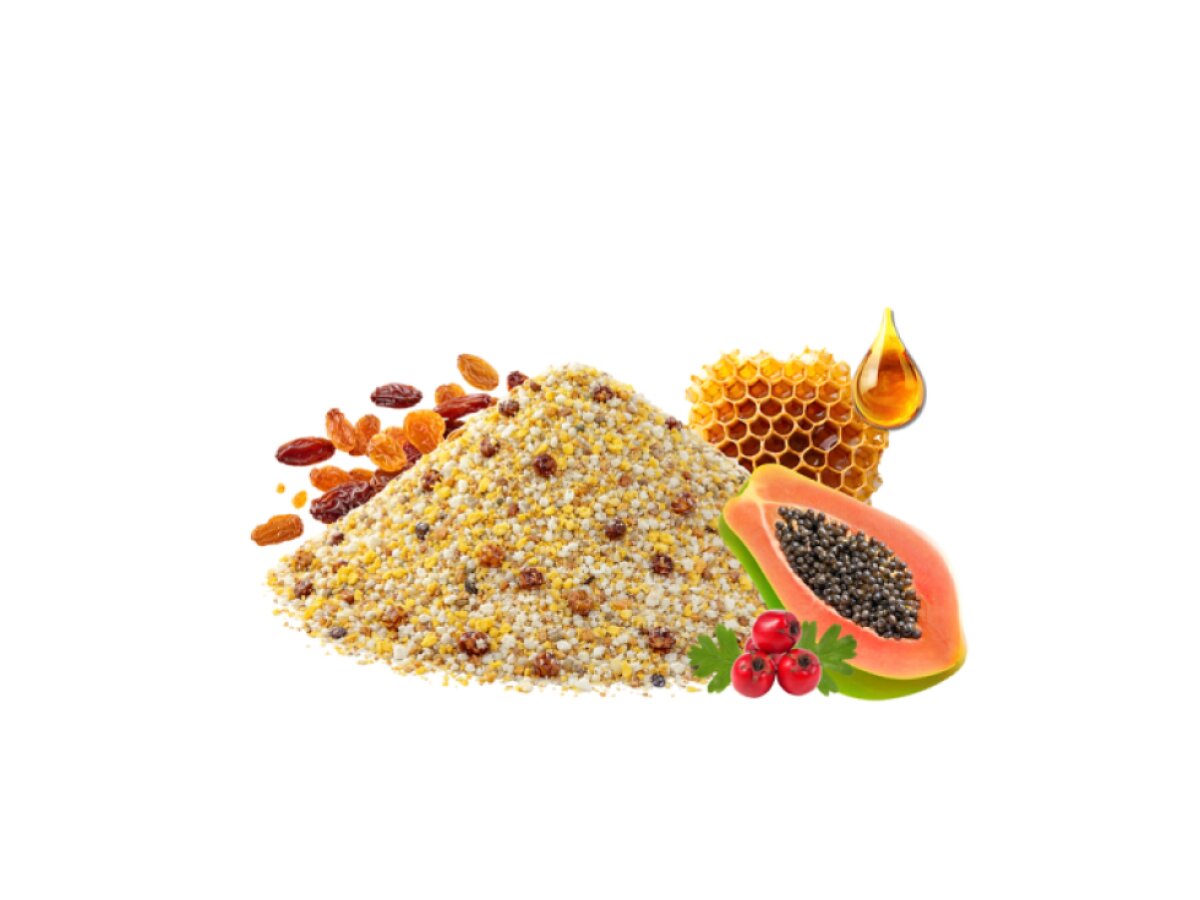 Your Parrot EggFood Parrot