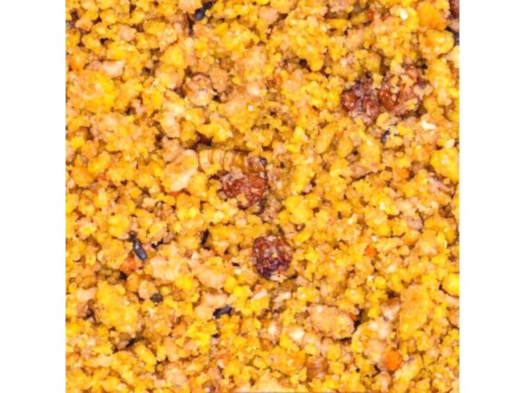 Your Parrot Egg Food Gold