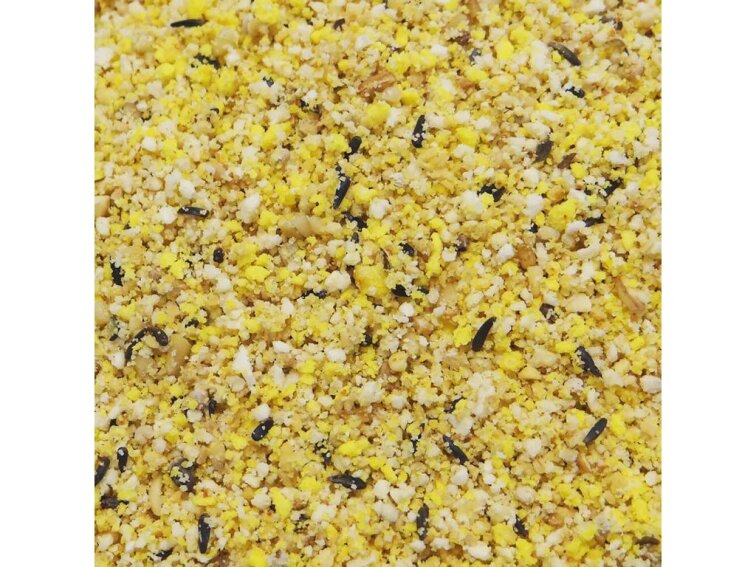Your Parrot Egg Food Easy