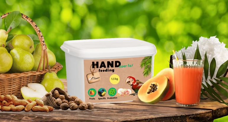Your Parrot Hand Feeding Super Fat