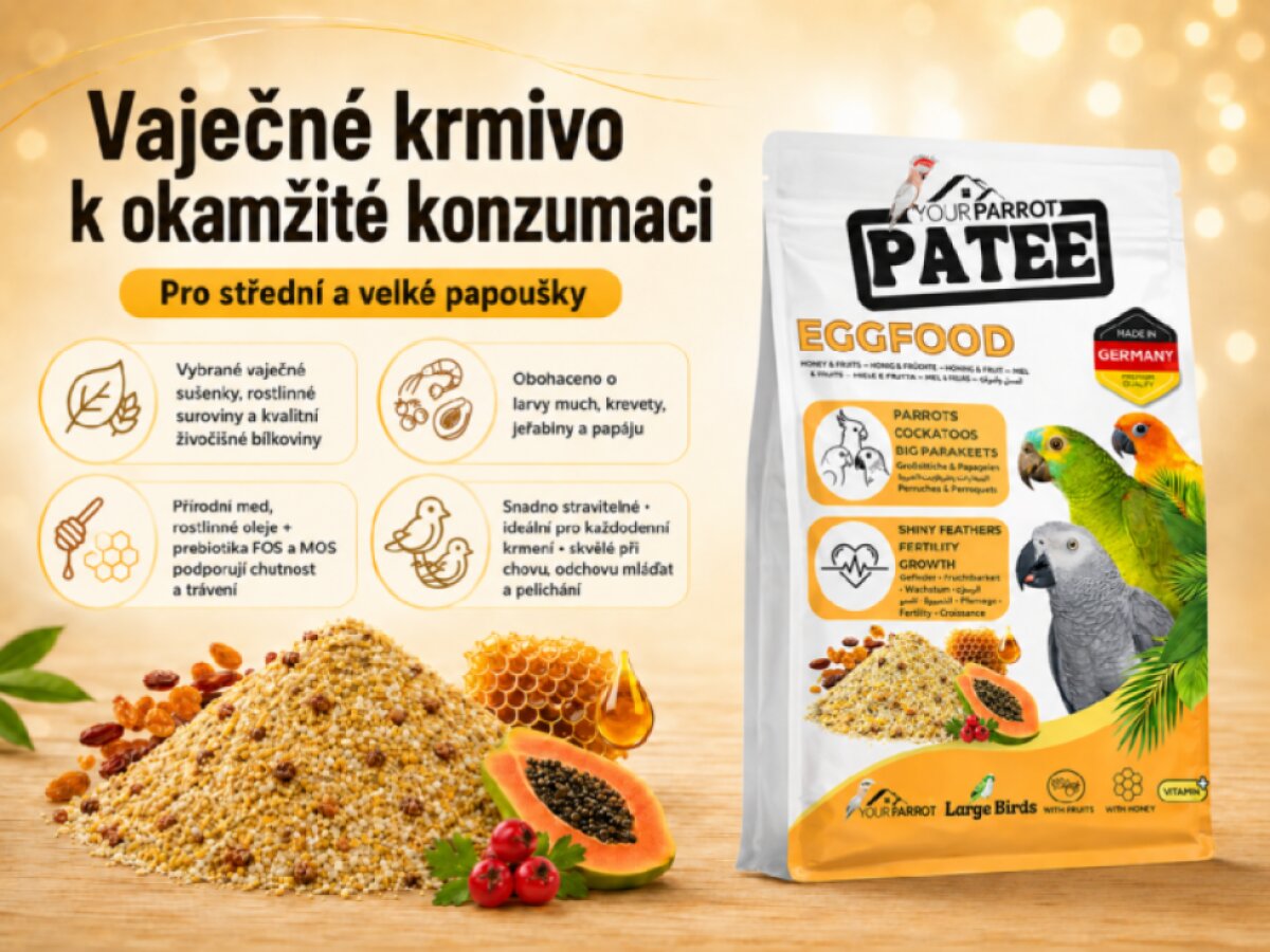Your Parrot EggFood Parrot