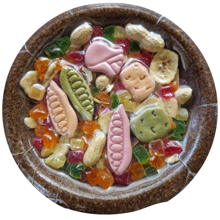 Vitapol Vita Line Party Bowl M,L