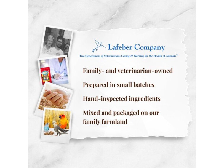 Lafeber AVI-CAKES Classic Parakeet