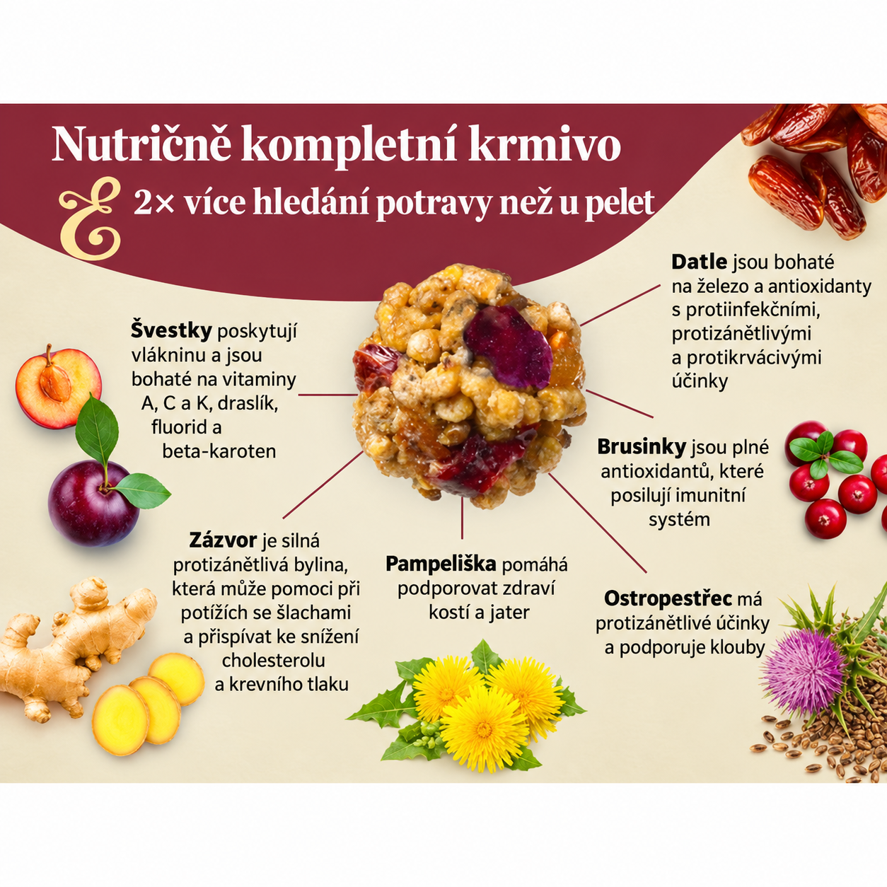 Senior Nutri-Berries Parakeet & Cockatiel