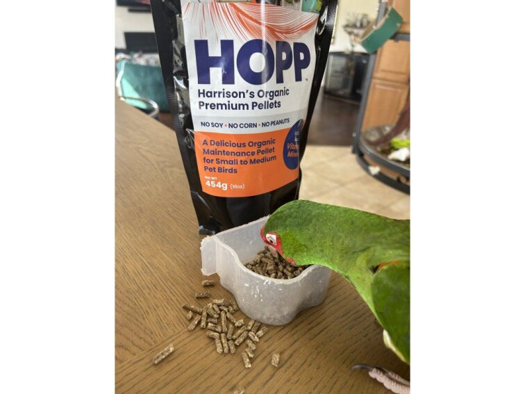 Harrison´s HOPP