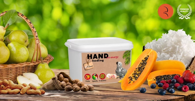 Your Parrot Hand Feeding Pro Energy