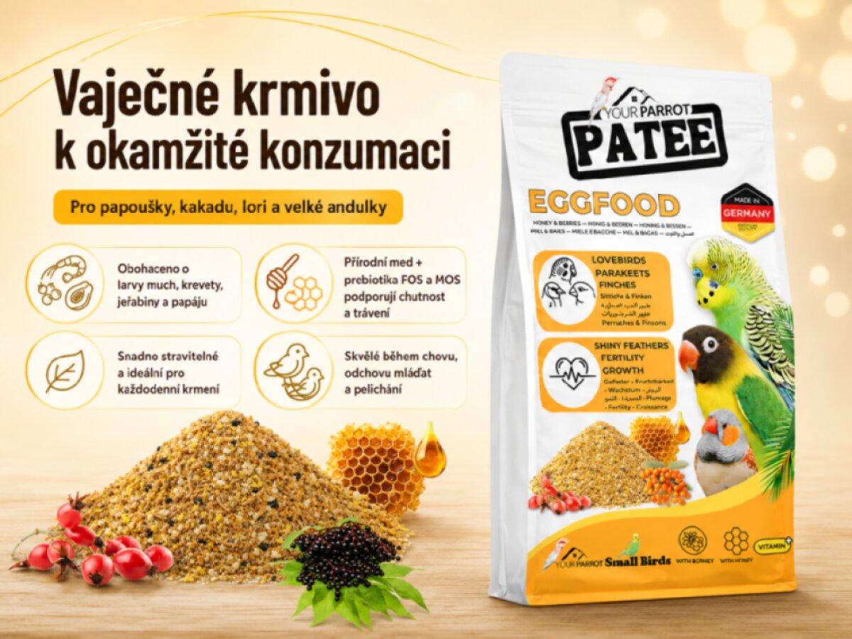 Your Parrot EggFood Parakeet