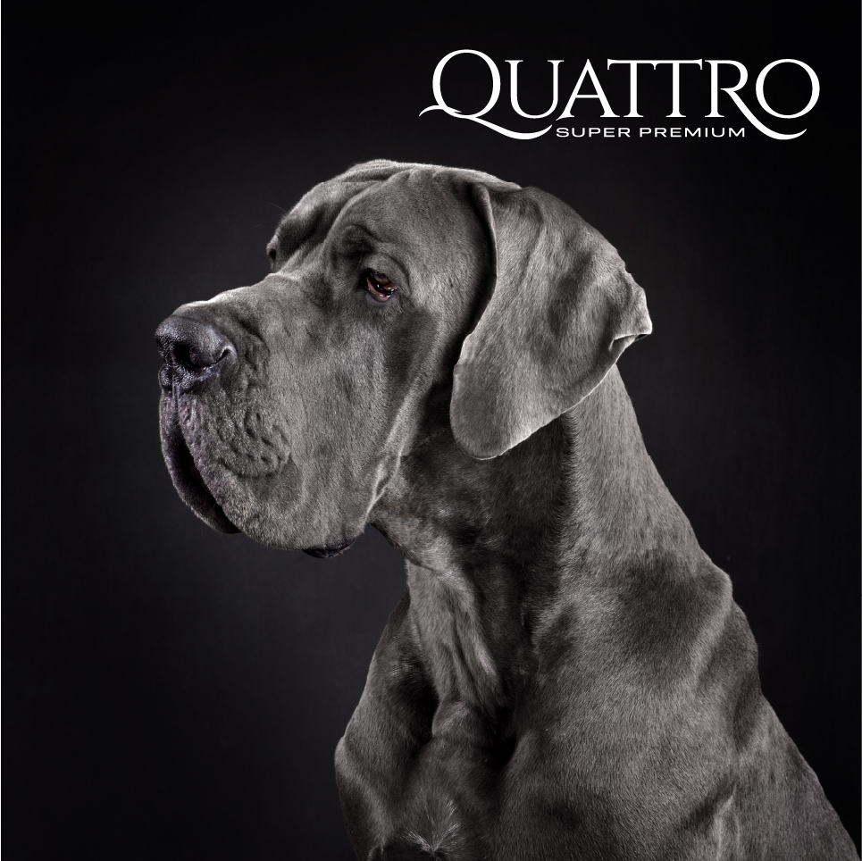 Quattro Adult Maxi LB s extra jehněčím masem