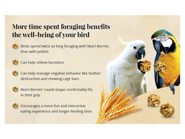 Classic Nutri-Berries Parrot