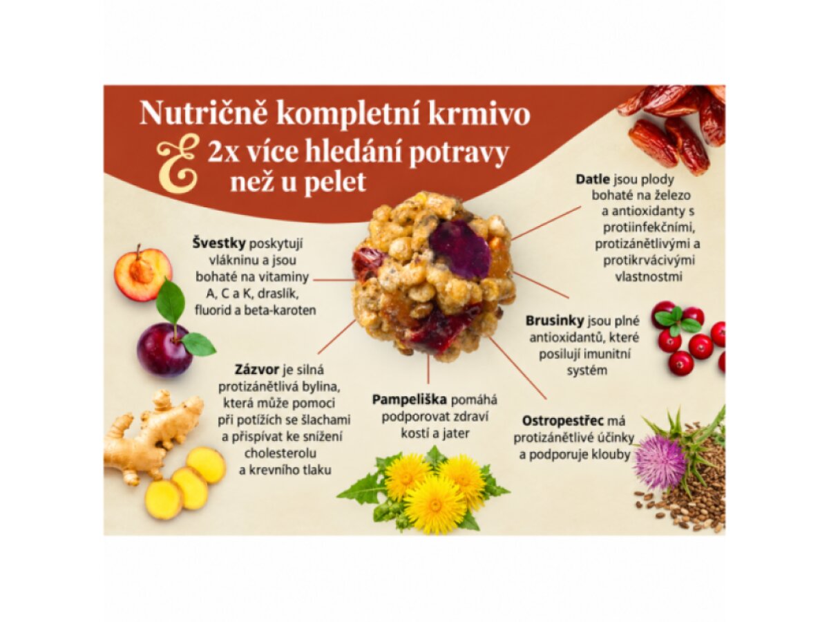 Senior Nutri-Berries Parrot
