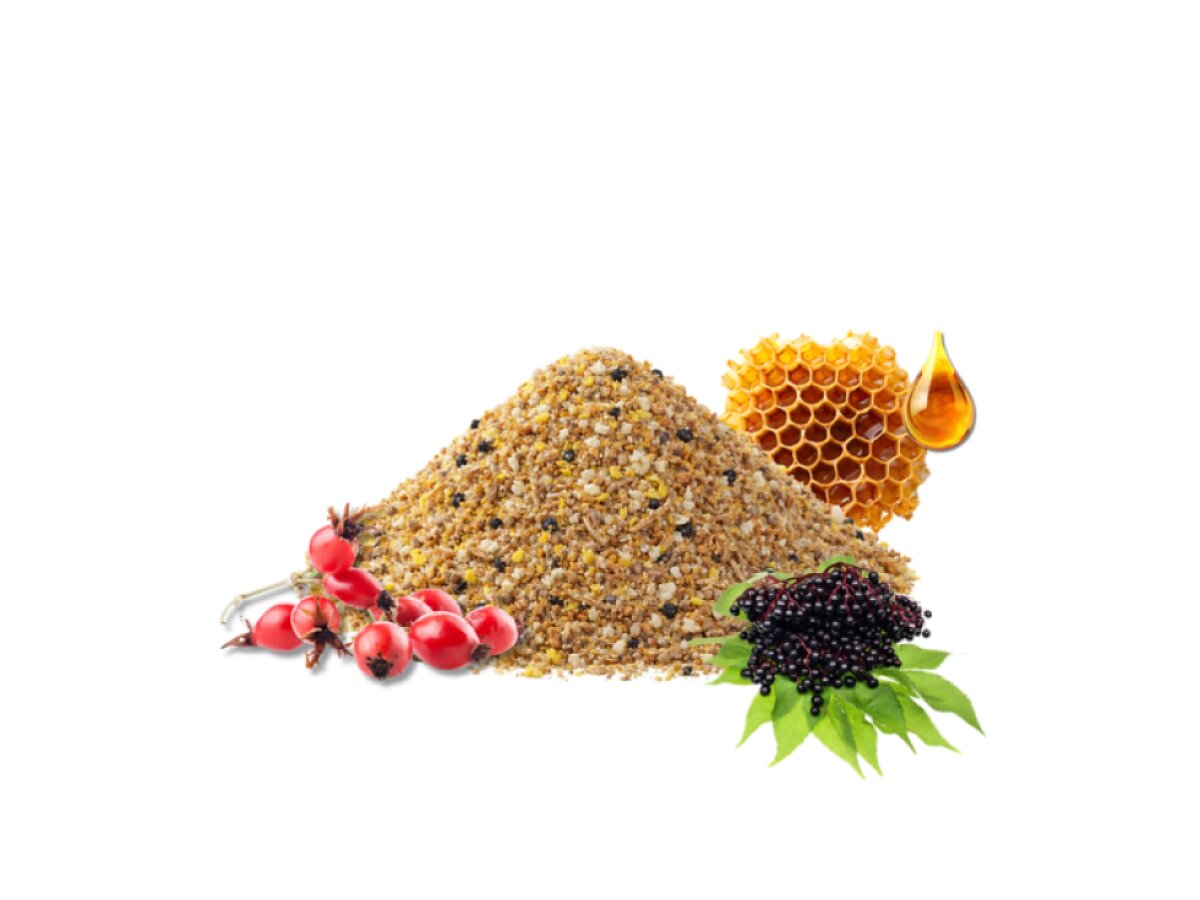 Your Parrot EggFood Parakeet