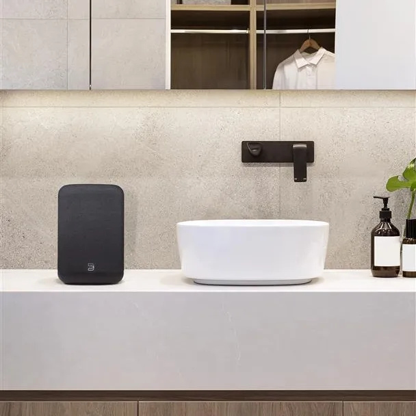 Bluesound Pulse Flex (2025)