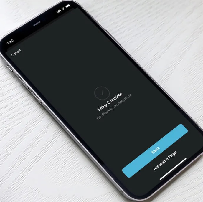 Bluesound Pulse Flex (2025)