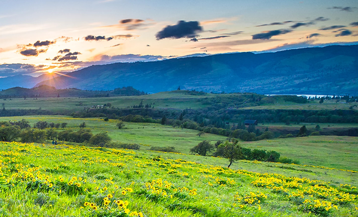 SONY Bravia Theatre Rear 8