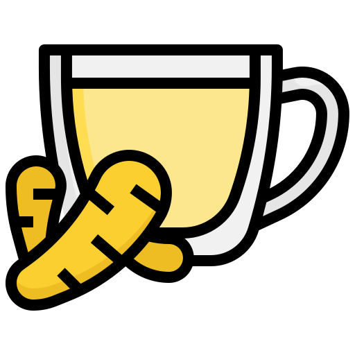 BIO organický zázvorový koncentrát Classic, 700 ml