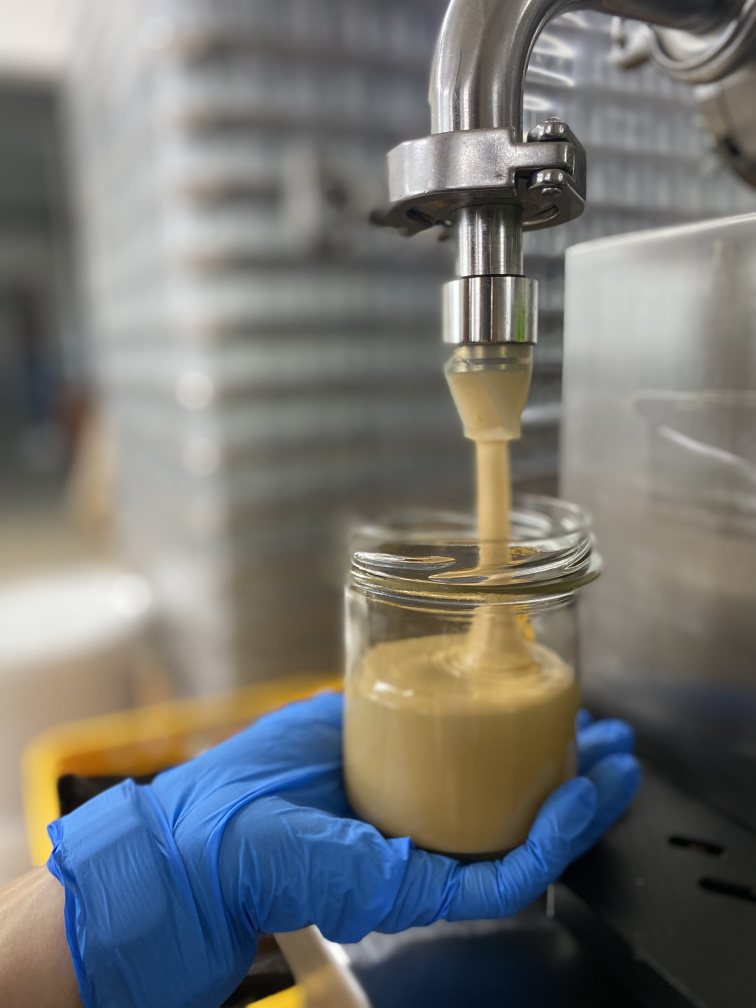 Sezam bílý loupaný 100g