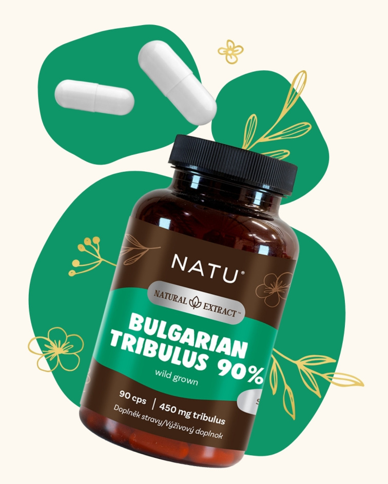 Bulharský kotvičník (Tribulus) extrakt 90 % saponinů 90 kapslí