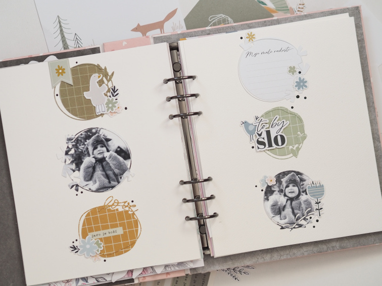 Rámečková stránka / MIRKA