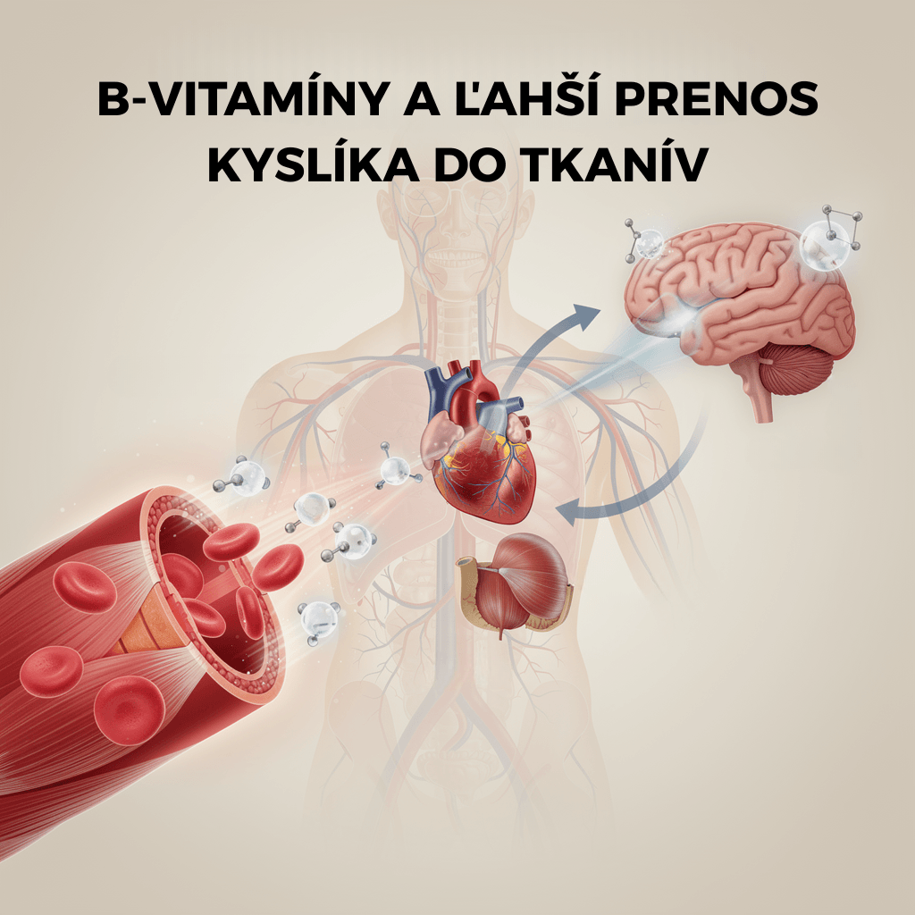 Slabnúci výkon, energia a pomalšia regenerácia? Úloha vitamínov skupiny B pri športe