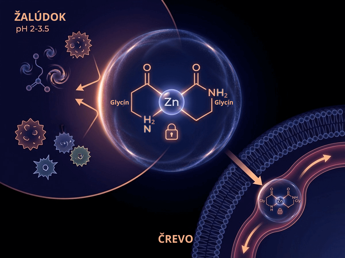 Zinok a selén - nenápadné minerály s mimoriadnym poslaním