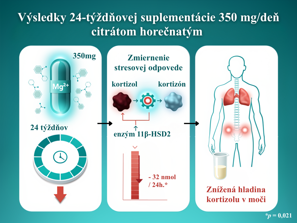 Tichý energetický kolaps buniek: Prečo moderný životný štýl vyčerpáva zásoby horčíka, draslíka a koenzýmu Q10?