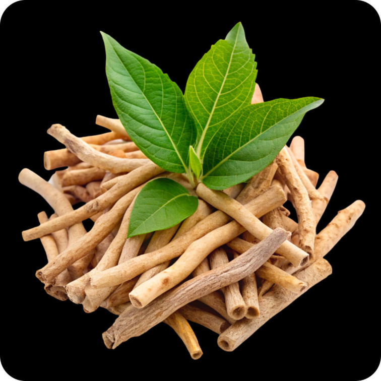 Ashwagandha Dual Standardized, 30 cps