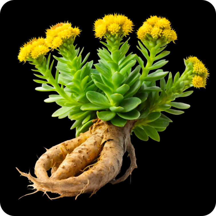 Ashwagandha Dual Standardized, 30 cps