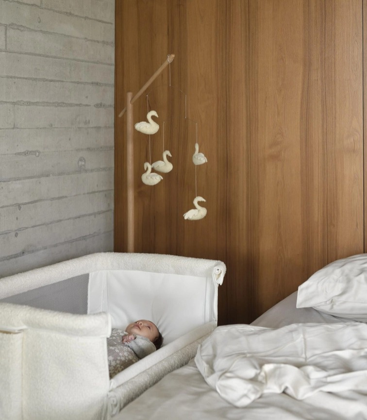 QUAX Závesné hračky pre kolotoč nad postieľku - Swann