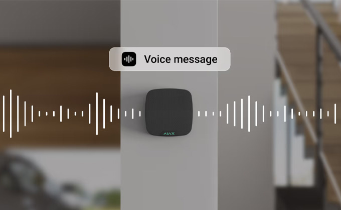 Ajax SpeakerPhone black (Voice module)