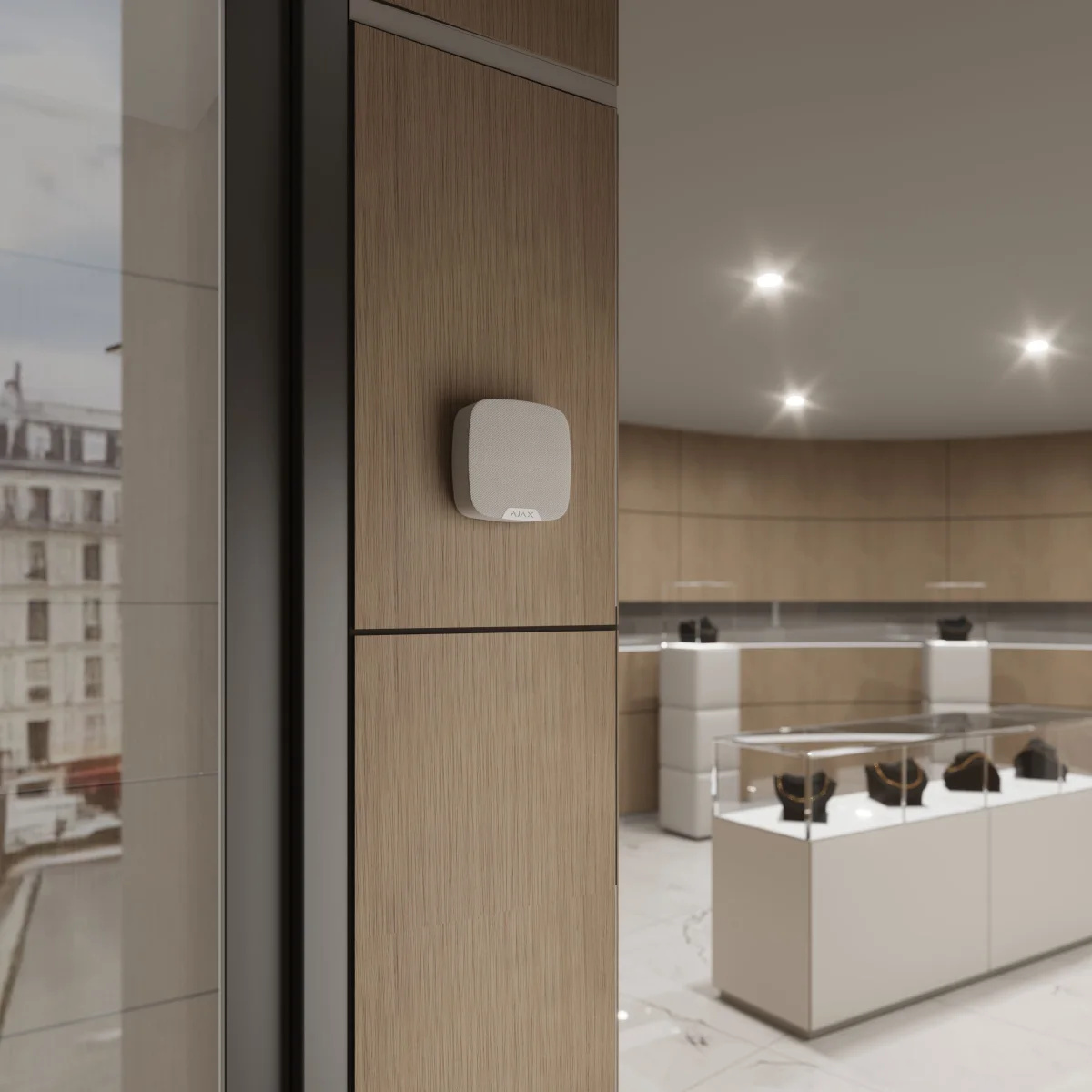 Ajax SpeakerPhone white (Voice module)