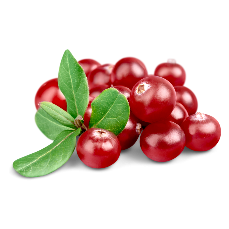 Bio řasenka Jungle Longueur 01 Noir