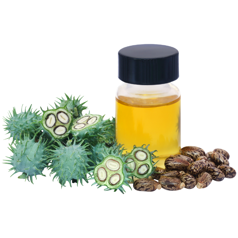 Bio rtěnka lesklá 304 Capucine