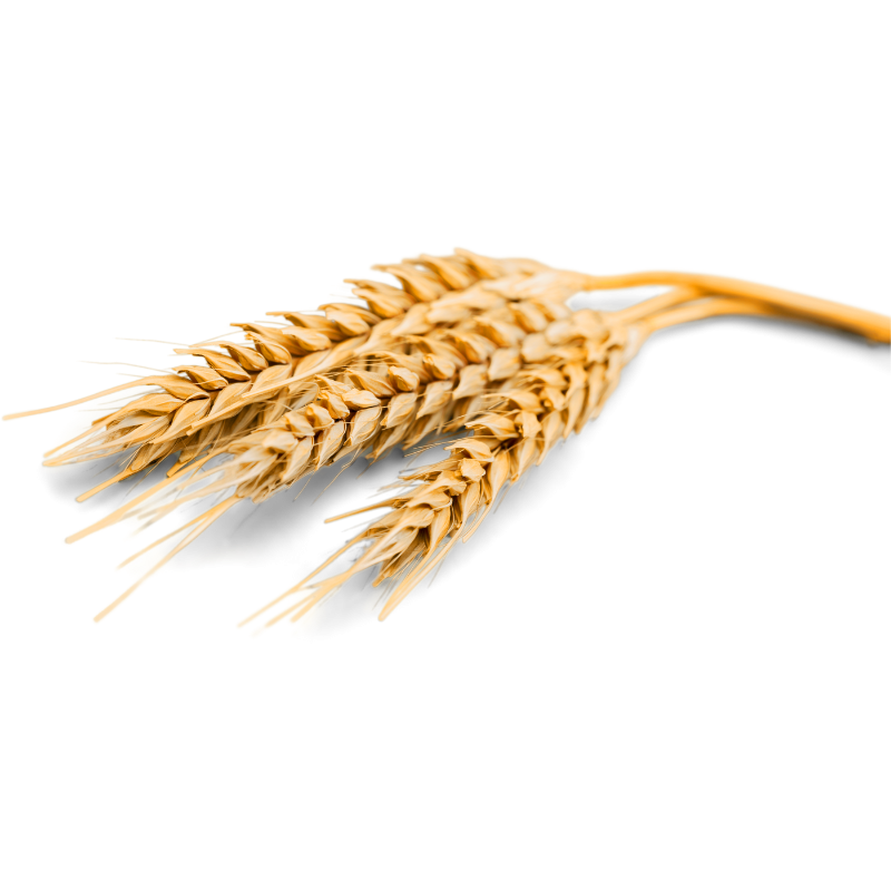 Bio řasenka Green Volume & Length 01 Noir