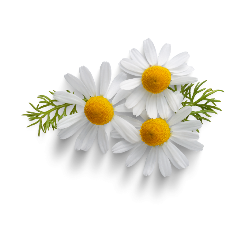 Bio tužka na rty 02 Framboise