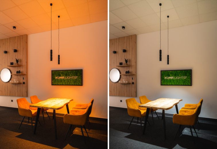 Závěsné svítidlo 24V Dual White GANDALF