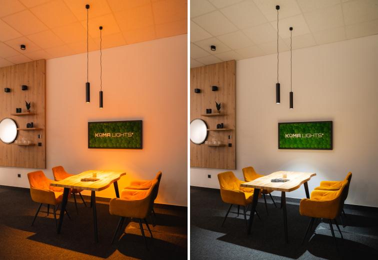 Závěsné svítidlo 24V Dual White FRODO