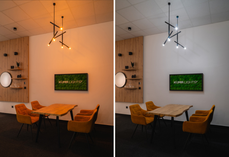 Závěsné svítidlo 24V Dual White ENT