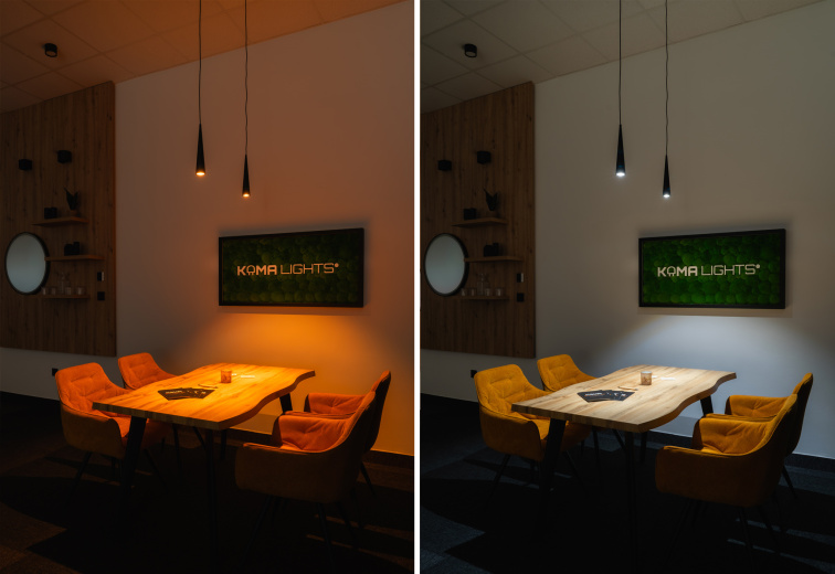 Závěsné svítidlo 24V Dual White SARUMAN