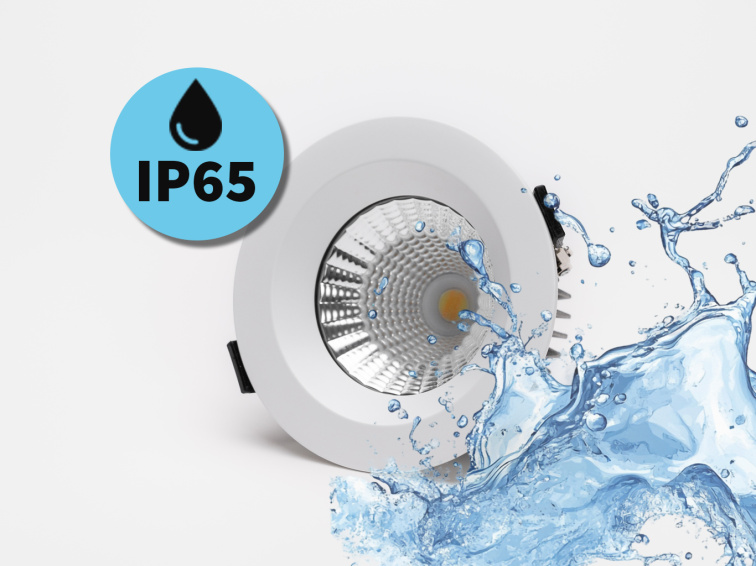 Bodovka 24V Dual White D110 12W IP65