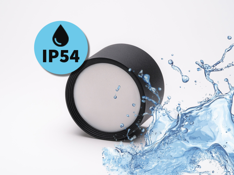 Stropní svítidlo 24V Dual White D170 24W IP54