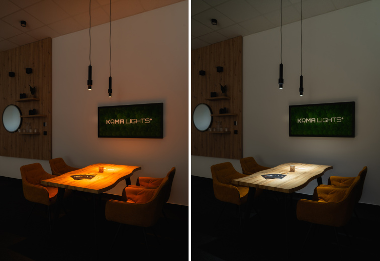 Závěsné svítidlo 24V Dual White GIMLI