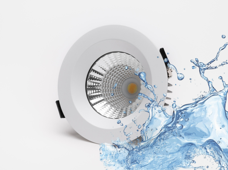 Bodovka 24V Dual White D110 12W IP65